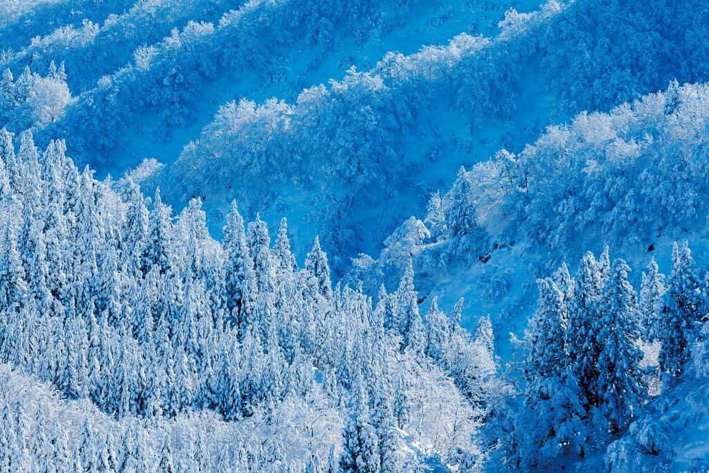 雪の降るまち十日町市
