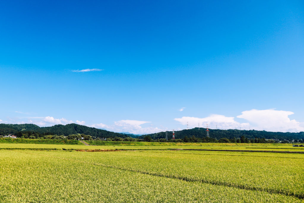 田畑の広がる自然